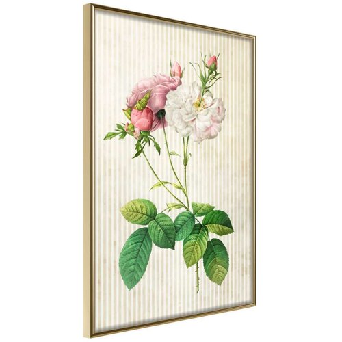  Poster - Romance I 40x60 Slike