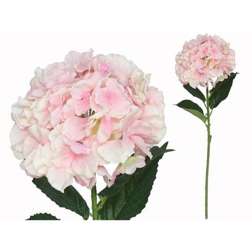  CVIJEĆE HYDRANGEA PVC 7079 Cijene
