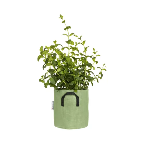 Bourgeon Vreča za rastline iz geotekstila ∅ 20 cm - zelena