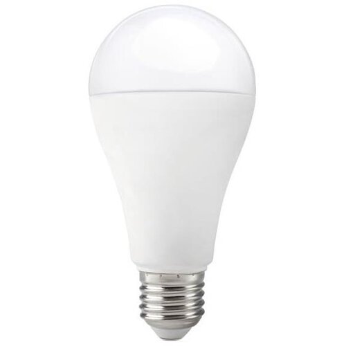  led sijalica gs E27/17W/230V 3000K Cene