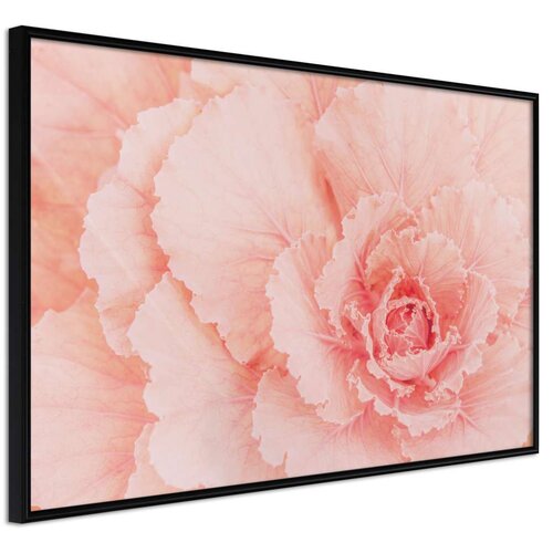  Poster - Delicate Petals 45x30 Slike