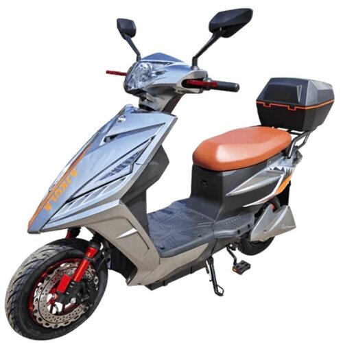 Csm AJKULA siva Cene