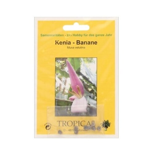 TROPICA Kenijska banana Cene
