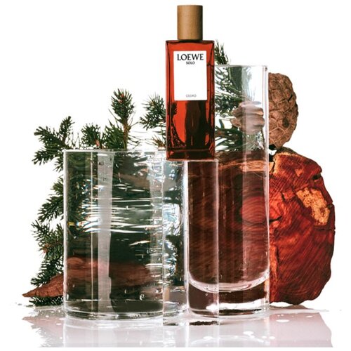 Loewe Solo Cedro toaletna voda za moške 100 ml Cene