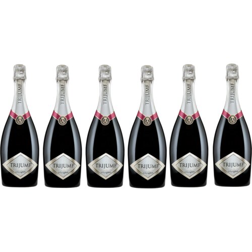 Vinarija Aleksandrović Trijumf Noir penu&scaron;avo vino, paket vina, 6 boca Cene