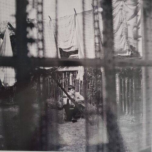  paul mccartney - chaos and creation in the backyard (ltd. gold viny Cene