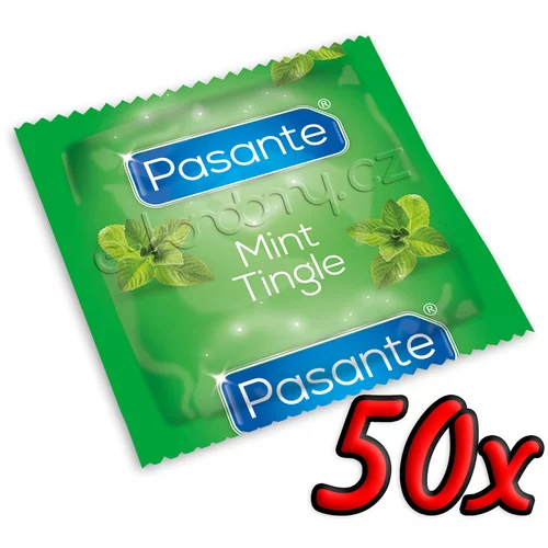 Pasante Mint Tingle 50 pack