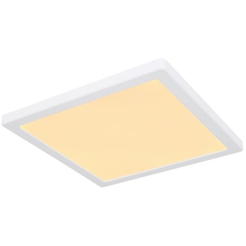 Globo 12380-24W - led plafonsko svetlo lasse LED/24W/230V 3000/4000/6500K bela Slike
