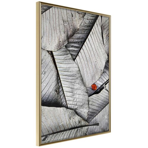  Poster - Touch of Colour 40x60 Slike