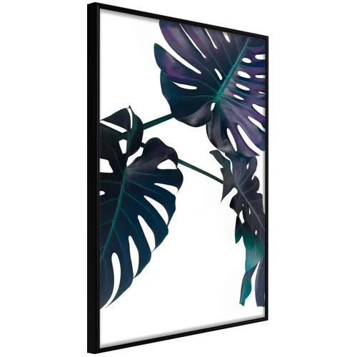  Poster - Evergreen Monstera 20x30