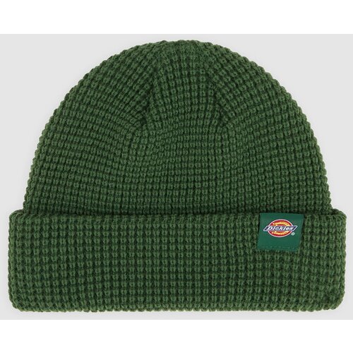 Dickies Kape zelena Cene