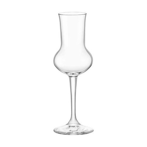 Bormioli Rocco Čaše Riserva Grappa 6-1 166181R Cene