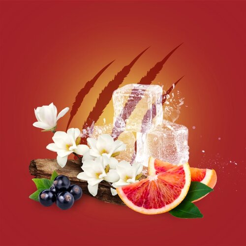 Old Spice Tigerclaw deo-stik za mo&amp;scaron;ke 50 ml Slike