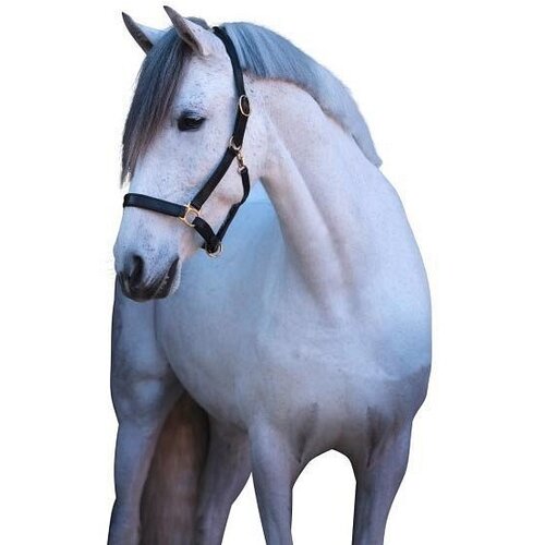 Kerbl Ular za konje kožni crni 1 Pony Eco Slike