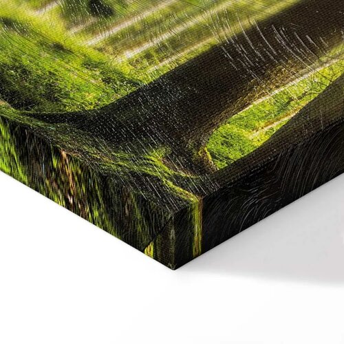  Slika - Sunlight 200x80 Premium Print Slike