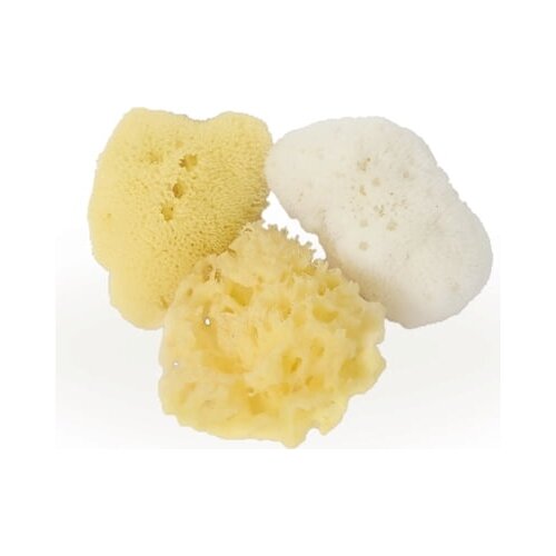 Cose della Natura mini beauty trio Cene