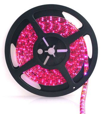 Forever LED trak SMD3528 8mm 60LED 4,8W/m - roza Cene