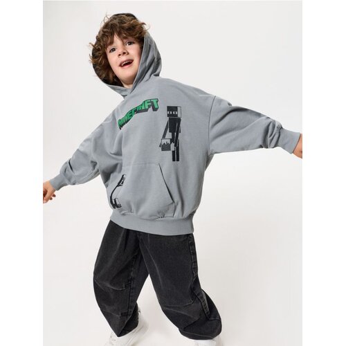 Sinsay Hoodie s tiskom Minecraft Cijene