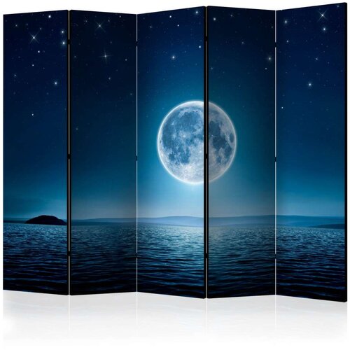  Paravan u 5 dijelova - Moonlit night II [Room Dividers] 225x172 Slike