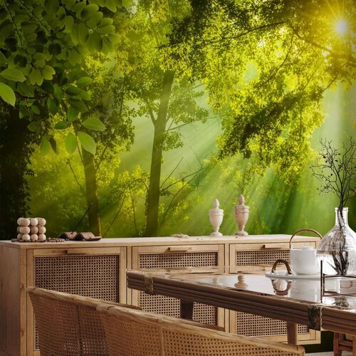  Foto tapeta - In a Secret Forest 450x315 Standard Slike