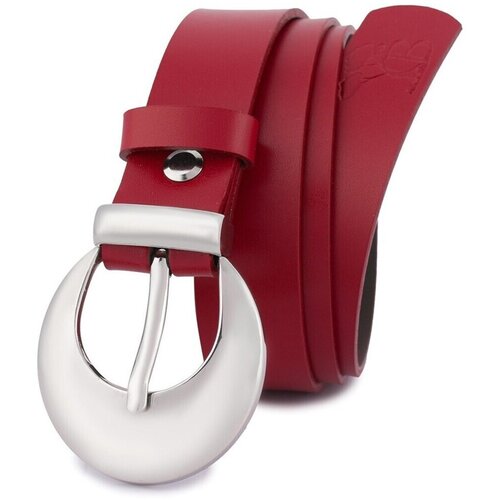 Beltimore Pasovi o0180 pisana Slike