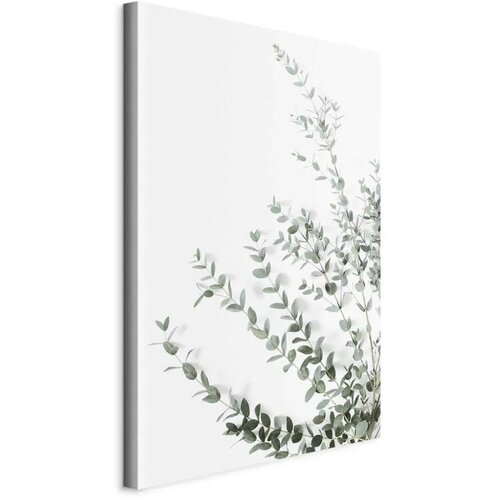  Slika - Eucalyptus Parvifolia (1 Part) Vertical 40x60 Cene