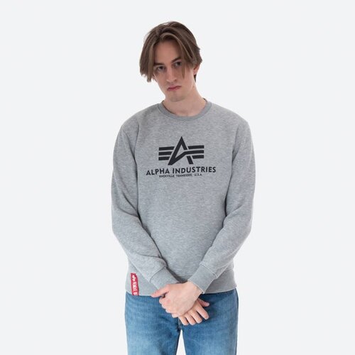 Alpha Industries Industries Mu&amp;scaron;ki duks Basic, Sivi Slike