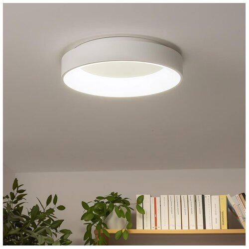  Brilagi - LED plafonsko svetlo FALCON LED/40W/230V 3000-6500K + DO (prigu&scaron;iva) Cene