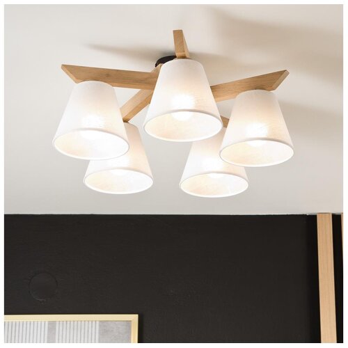  Plafonski luster ANTONIO 5xE14/40W/230V hrast Cene