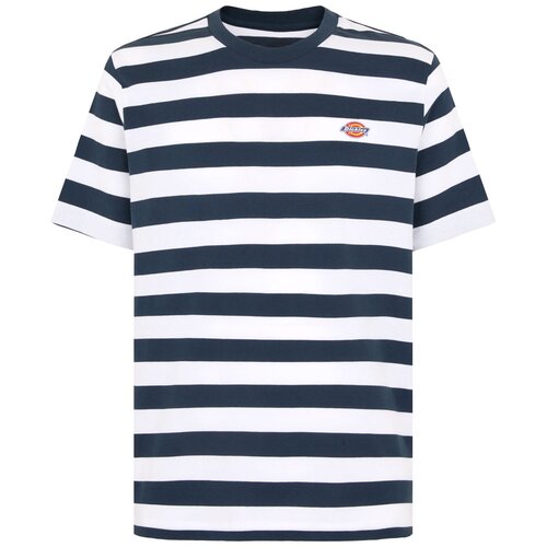 Dickies DK0A4Y8Y Plava Cijene