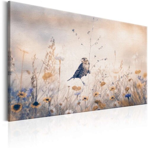  Slika - August Melody 90x60 Cijene