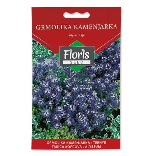 Floris seme cveće-grmolika kamenjarka 05g FL Slike