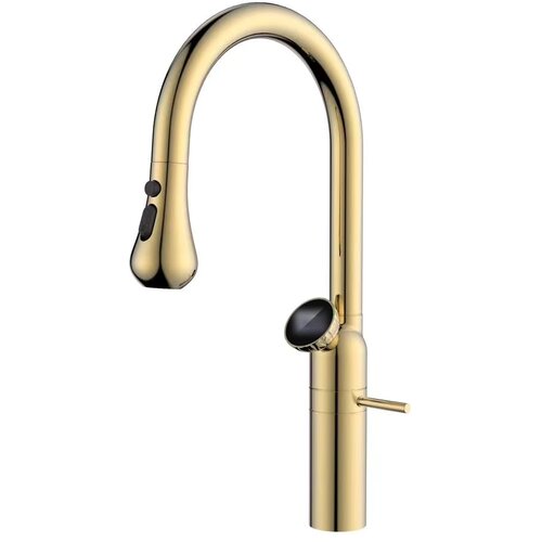 ELITE EDITION Enoročna kuhinjska armatura KF1694 z digitalnim prikazom temperature, rožnato zlata &amp;mdash; Rose gold Slike