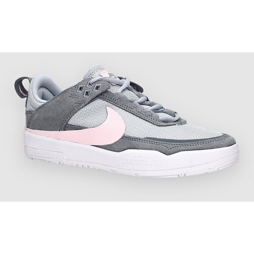 Nike Sb Day One Kids Skate Shoes wlf gr Cijene