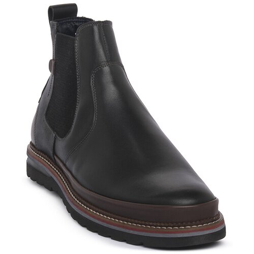 Zen Polškornji ARK NERO Črna Cene