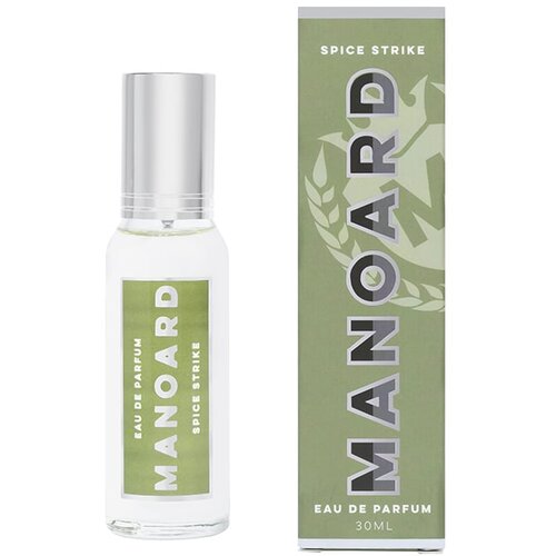 MANOARD Spice strike muški parfem edp 30ml Cene