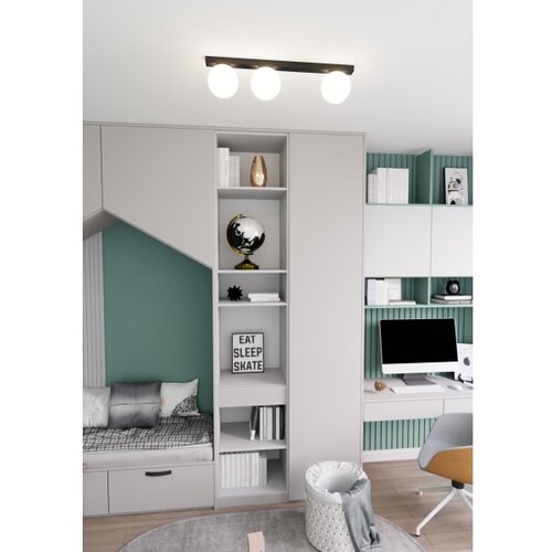  plafonsko svetlo fit 3xE14/10W/230V crna/bela Slike