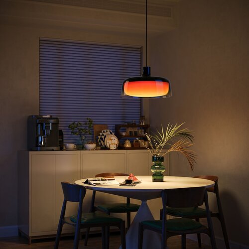 GOVEE LED RGBICWW prigu&amp;scaron;iva luster na sajli LED/21W/230V mat Wi-Fi Slike