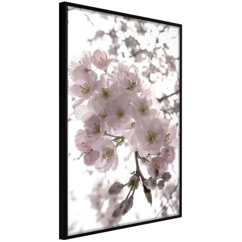  Poster - Spring Visit 40x60