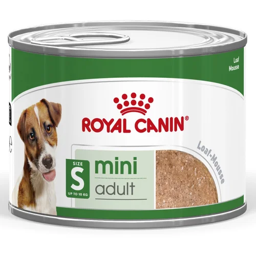 Royal Canin Mini Adult Mousse - 12 x 195 g