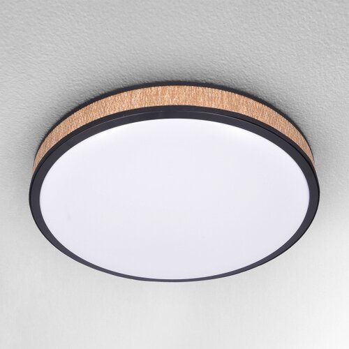  Brilagi - LED prigu&amp;scaron;iva stropna svetiljka ROSA LED/48W/230V 3000-6500K + DO Slike