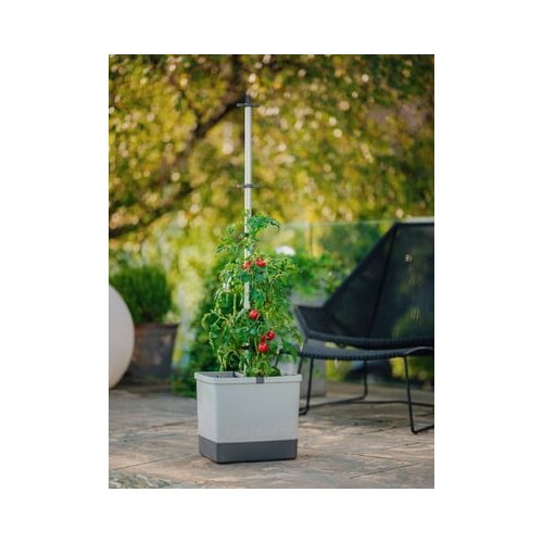 Gusta Garden komplet rastlinskih loncev tom tomato Cene