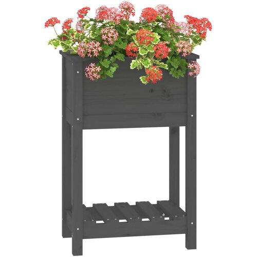  Sadilica s policom siva 54 x 34,5 x 81 cm od masivne borovine Slike