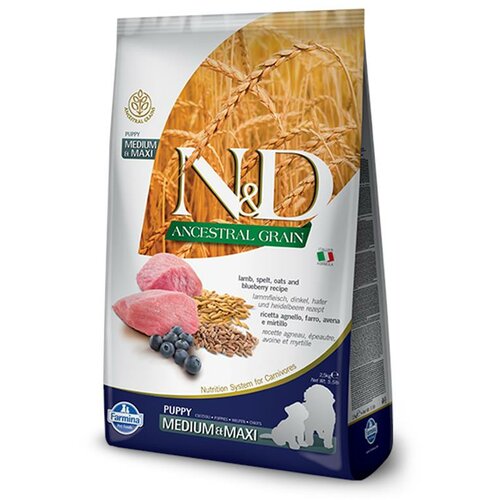 N&d suva hrana za štence ancestral grain medium/maxi jagnjetina i borovnica 12kg Cene