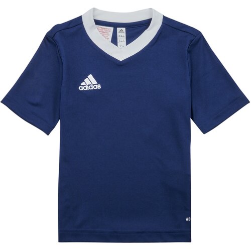 Adidas Majice s kratkimi rokavi ENT22 JSY Y Modra Slike