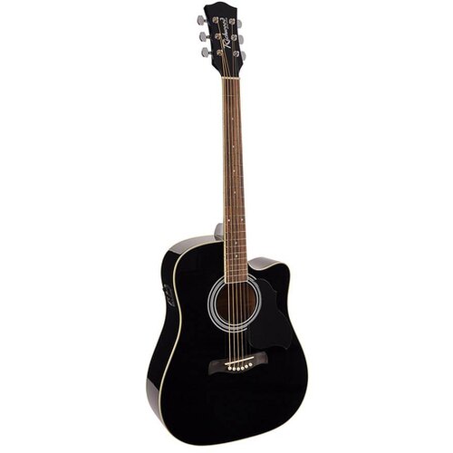Richwood akustična ozvučena gitara RD-10-CEBK Cene