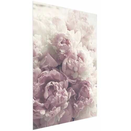  Plakat Delicate Peonies 21x30 Cijene