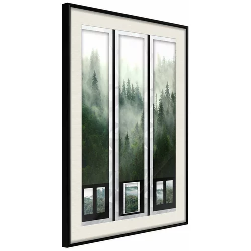  Poster - Eternal Forest – Triptych 30x45