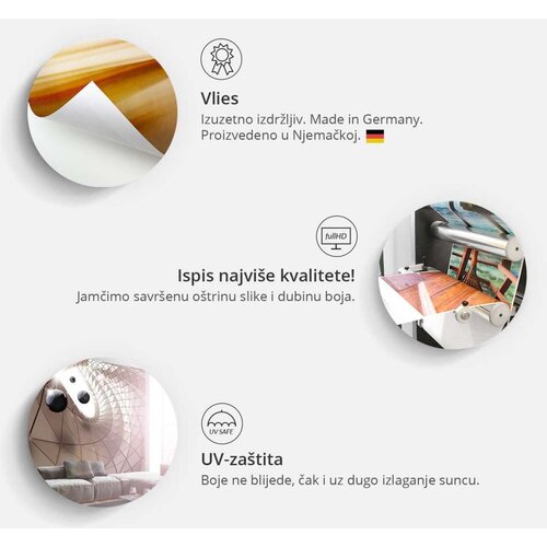  Tapeta - Colourful King 400x280 Slike