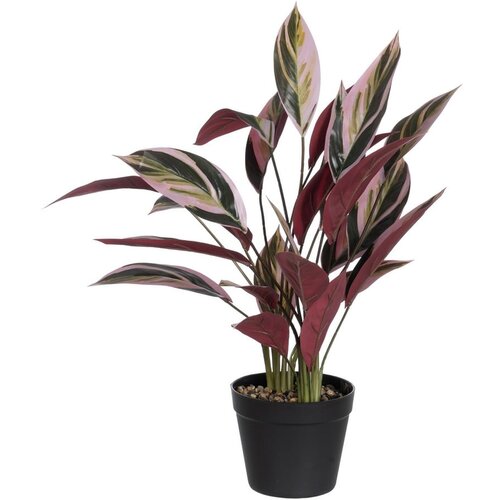Ixia Umjetna biljka (visina 55 cm) Bird of Paradise – Cijene